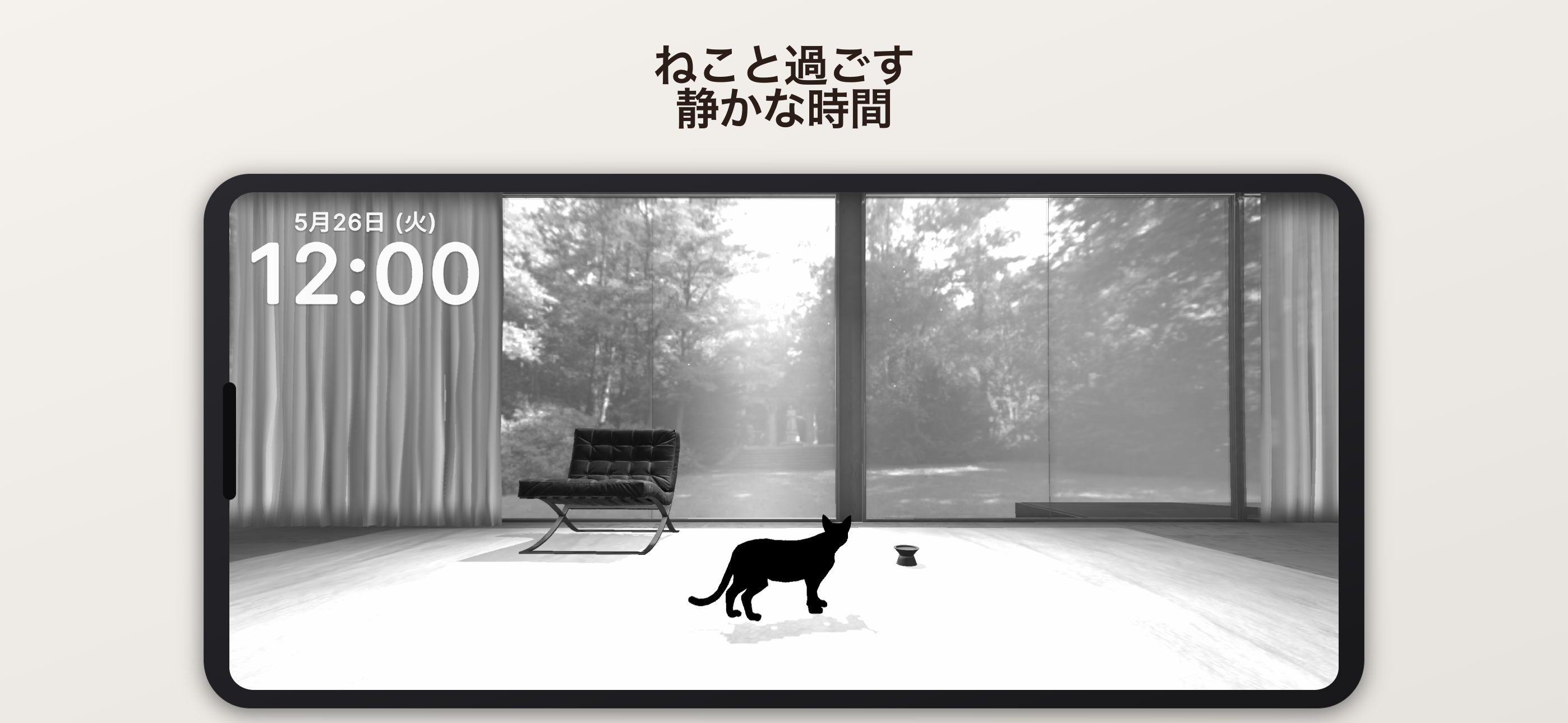ねこと過ごす静かな時間