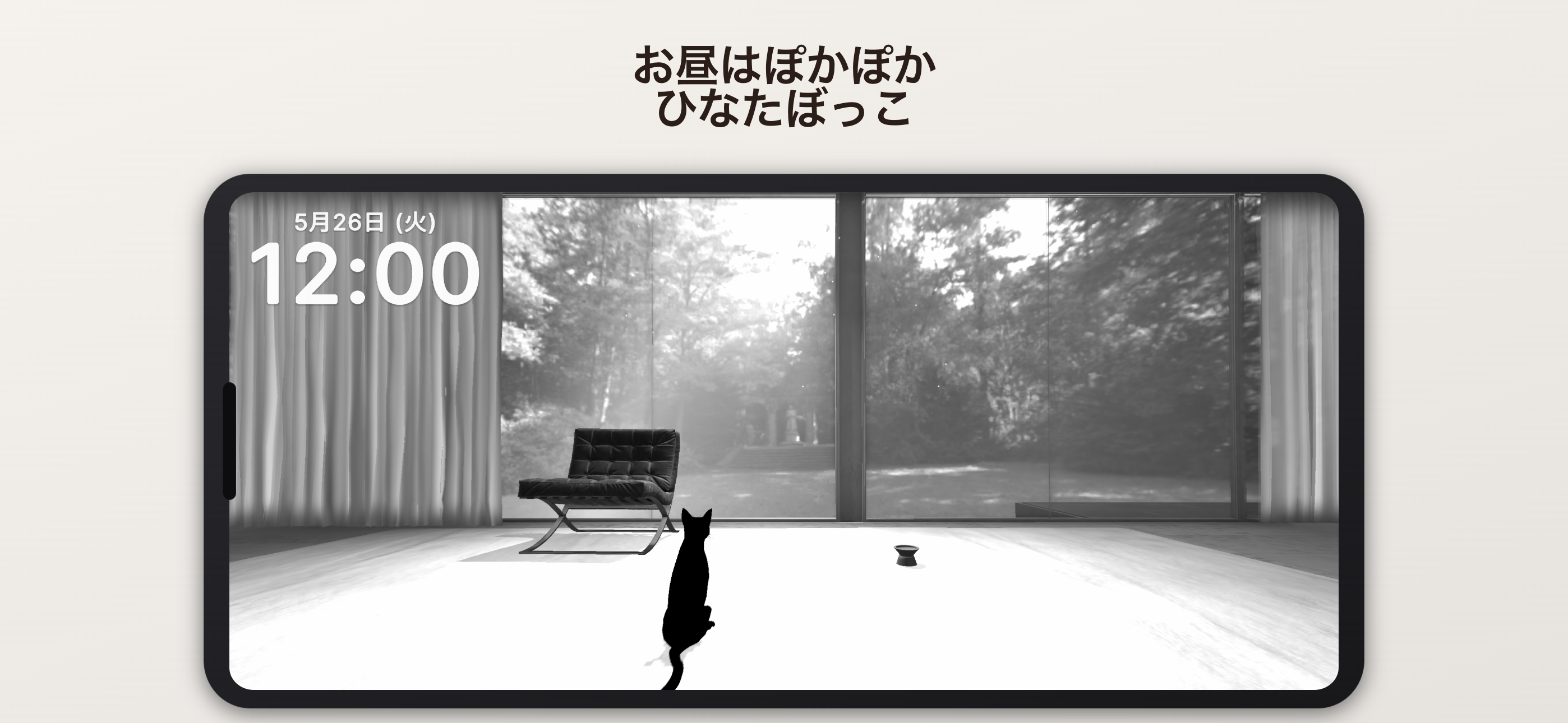 お昼はぽかぽかひなたぼっこ
